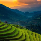 Mu Cang Chai Trekking Tour 4 Days: Stunning Rice Terraces