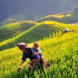 Mu Cang Chai Trekking Tour 4 Days: Stunning Rice Terraces