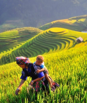 Mu Cang Chai Trekking Tour 4 Days: Stunning Rice Terraces