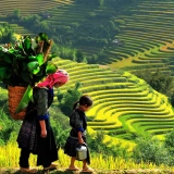 Mu Cang Chai Trekking Tour 4 Days: Stunning Rice Terraces