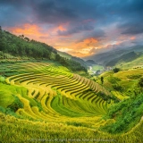 Mu Cang Chai Trekking Tour 4 Days: Stunning Rice Terraces