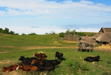 Ban Paicho to Phongsaly