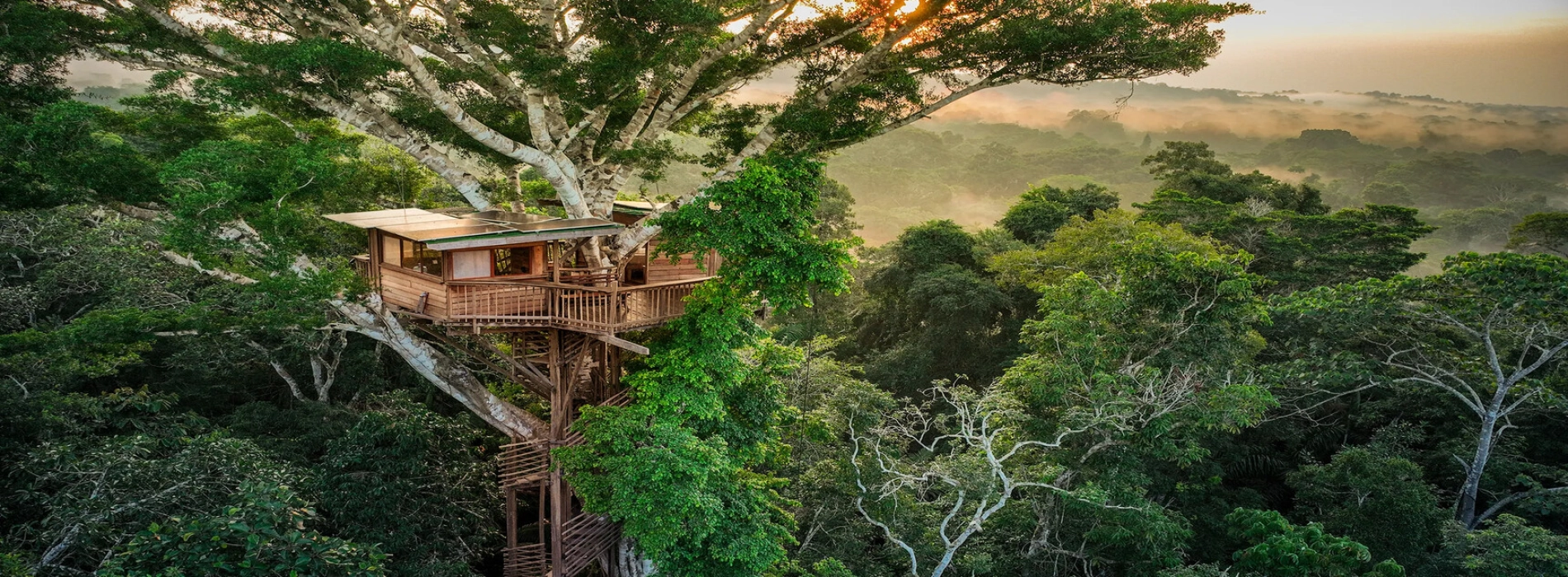 Living on a jungle treehouse with Gibbon Experience