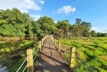 Arrival and Forest Trek