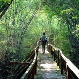 Cat Tien National Park Tour 3-Day: Wildlife and Nature