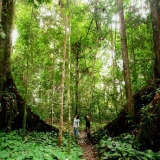 Cat Tien National Park Tour 3-Day: Wildlife and Nature