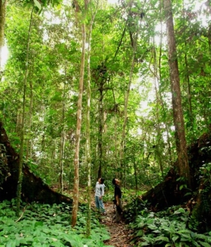 Cat Tien National Park Tour 3-Day: Wildlife and Nature