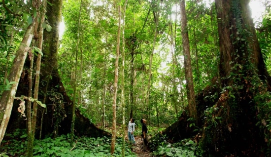 Cat Tien National Park Tour 3-Day: Wildlife and Nature