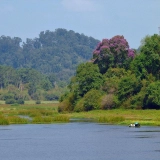 Cat Tien National Park Tour 3-Day: Wildlife and Nature