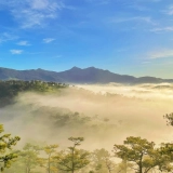 Da Lat Tour 2 Days: A Dreamy Escape to the Highlands