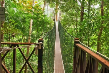 Transfer to Taman Negara, Nighttime Jungle Walk