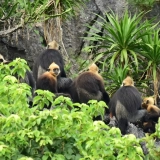 Cat Ba Trekking Tour 2 Days: Island Escape