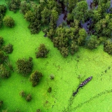 Tram Chim National Park Tour 2 Days: Serene Birdwatching