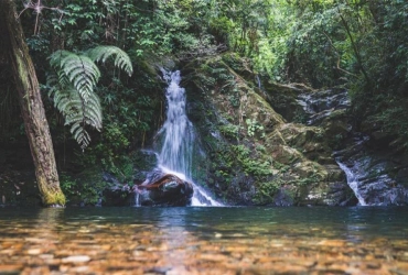 Hike in the Park – Bach Ma National Park – Hue