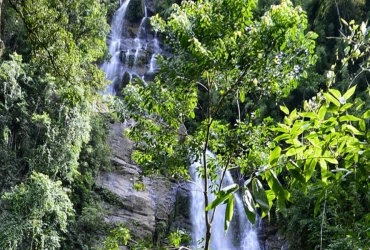 Hike in the Park – Xuan Son National Park – Hanoi