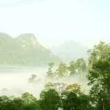 Xuan Son National Park Tour 2 Days: Tranquil Nature Escape