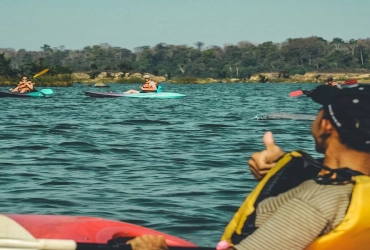 Dolphin Watching by Kayak and Local Productions (B/L)