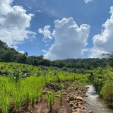 Mondulkiri Trekking Tour 2 Days: Exciting Journey