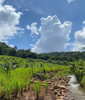 Mondulkiri Trekking Tour 2 Days: Exciting Journey