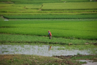 Phnom Penh to Takeo (L/D)