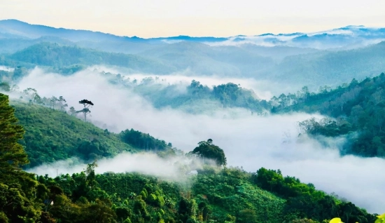 Mang Den Tour 3 days: The Gem of Kon Tum