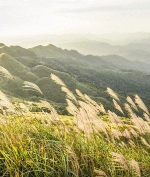 Binh Lieu Trekking Tour 2 Days: Beauty of the Borderlands