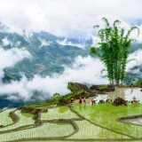 Y Ty Trekking Tour 3 Days: Discover the Nature of Northern Vietnam