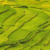 Y Ty Trekking Tour 3 Days: Discover the Nature of Northern Vietnam