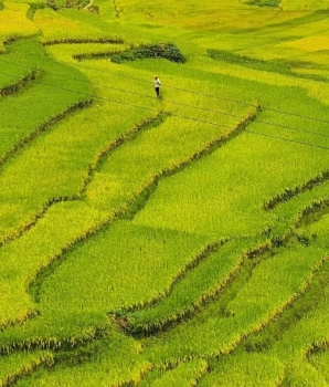 Y Ty Trekking Tour 3 Days: Discover the Nature of Northern Vietnam