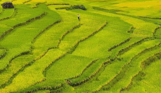 Y Ty Trekking Tour 3 Days: Discover the Nature of Northern Vietnam