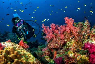 Turquoise Bays and Sea Nomads