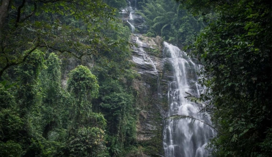 Pu Mat Tour 3 Days: Central Vietnam's Green