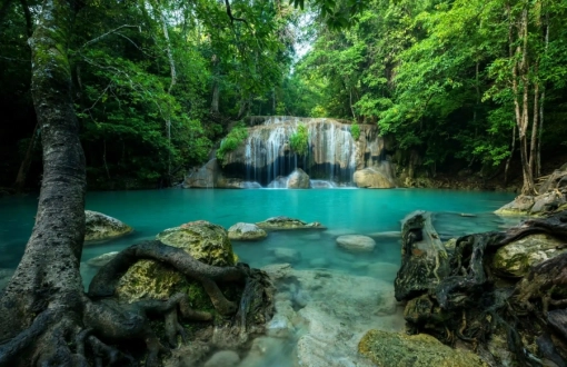 Top National Parks in Thailand for Outdoor Enthusiasts