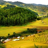 Mai Chau Moc Chau Tour 3 Days: Scenic Highland Adventure