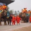 The elephant festival in the Land of a Million Elephants