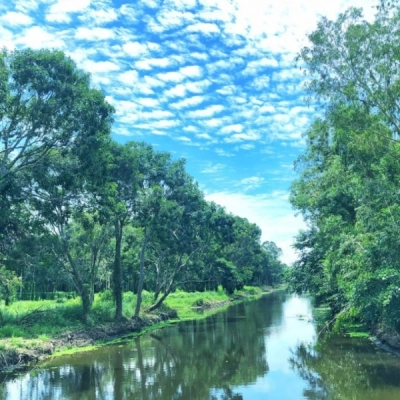 Lung Ngoc Hoang Nature Reserve