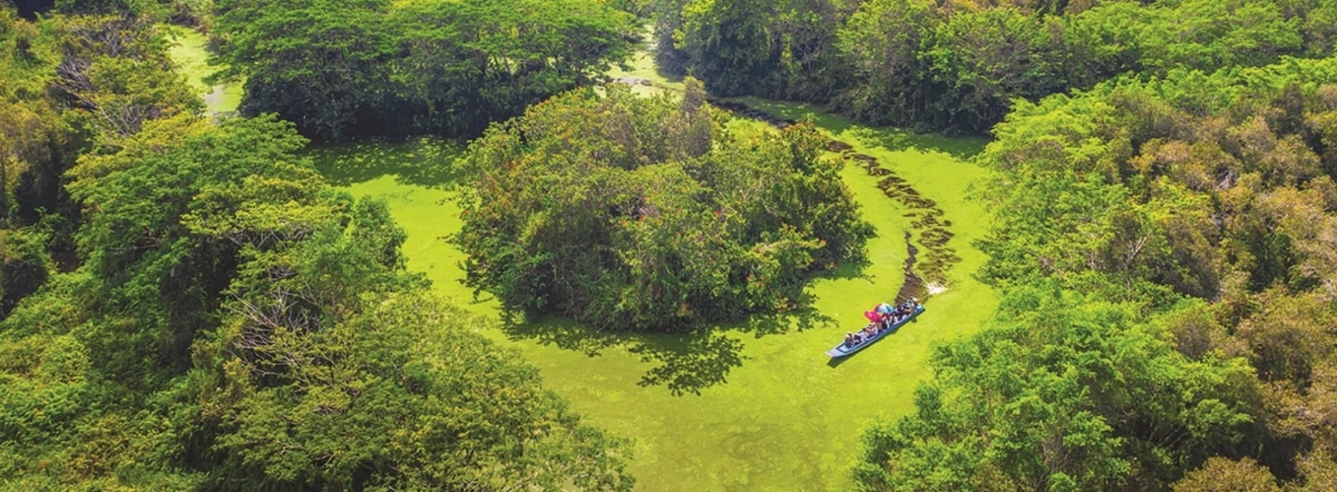 Lung Ngoc Hoang Nature Reserve