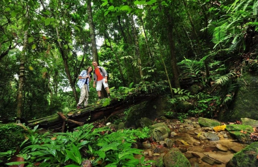 Top Activities in Perak: From Thrilling to Relaxing