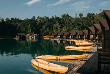 Night Adventure and Jungle Retreat