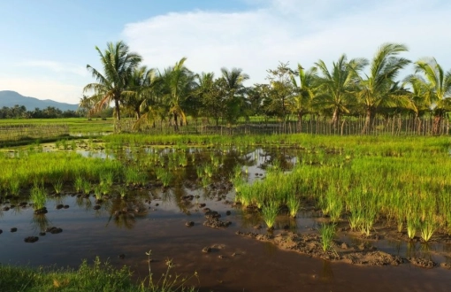 Rainy Season in Cambodia: Guide for Traveling