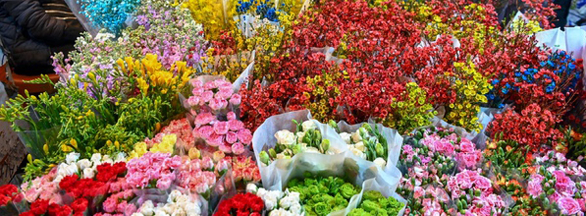 Quang Ba Flower Market