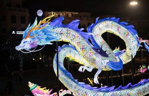 Oriental Light Festival 2025: Unmissable International Lantern Event